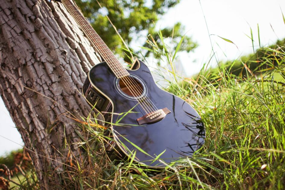 11country singer will probate
