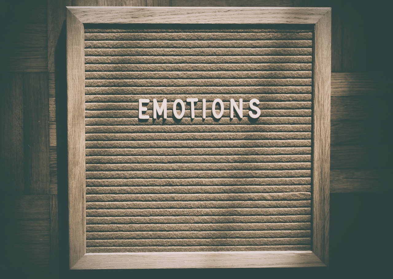 11Using a Testator's Feelings as Evidence of Fraud in Probate Court