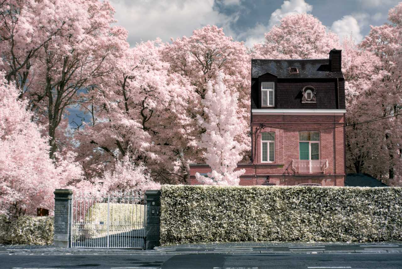 11inherit house spouse no will