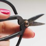 11partition property in Texas probate