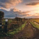 11sale of joint property in texas probate